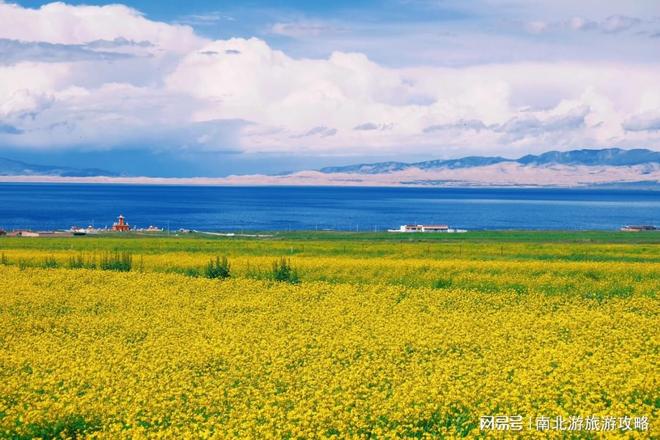 记录！跟团靠谱吗？选对领队是关键！开元棋牌网站西北青甘大环线日游全(图2)