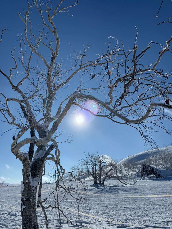 地引导探访原始村落账目清晰记忆甜开元棋牌网站雪乡闺蜜帮四日游！在(图2)